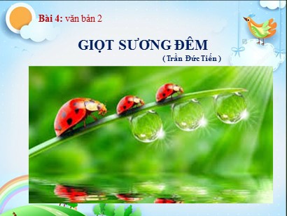 Bài giảng Ngữ văn 6 (Sách Chân trời sáng tạo) - Bài 4: Những trải nghiệm trong đời - Văn bản 2: Giọt sương đêm